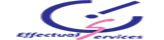Effectual Knowledge Services
